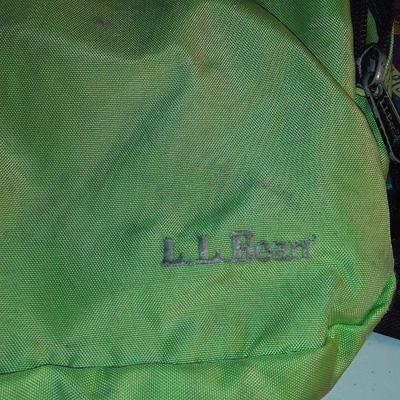 Lot back packs and currier bag