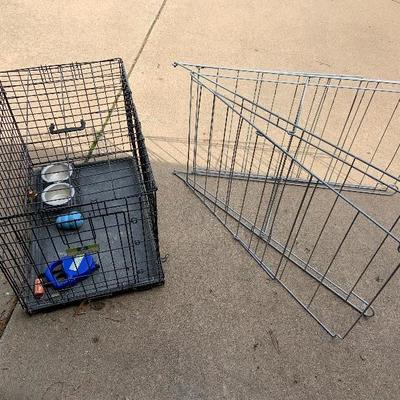 Dog Accessories Lot