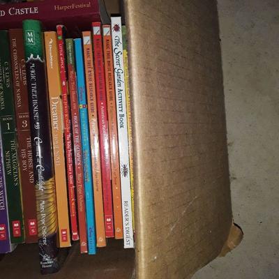 Lot #2 Children's books