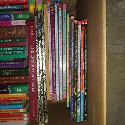 Lot #2 Children's books