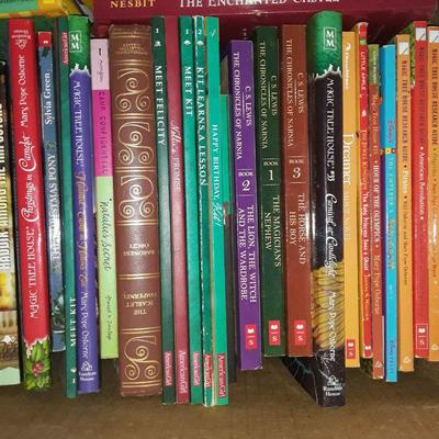 Lot #2 Children's books