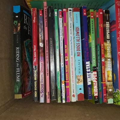 Lot #2 Children's books