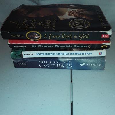 Lot#4  Large lot of Assorted books