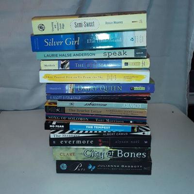 Lot#4  Large lot of Assorted books
