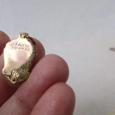 Lion's Club Gold Charm and Pins