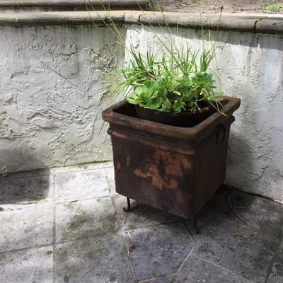 P-105 Large terra-cotta planter with succulent plants