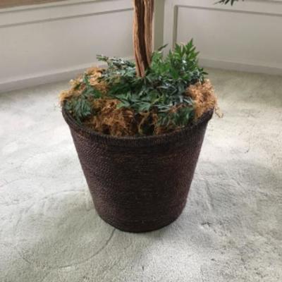 B2-106 Tall Silk Floor Plant with Bird & Birds Nest