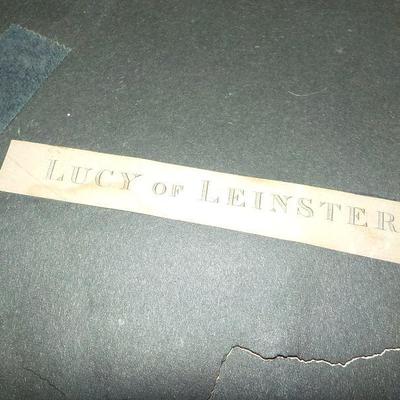 Vintage Art " Lucy of Leinster" print.
