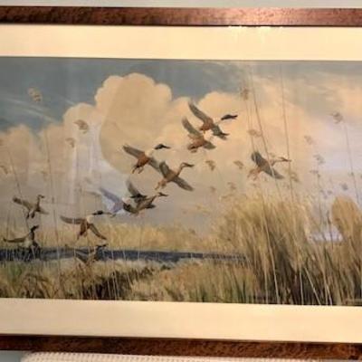Ducks in Flight Print Peter Scott 1934 Framed $75.00