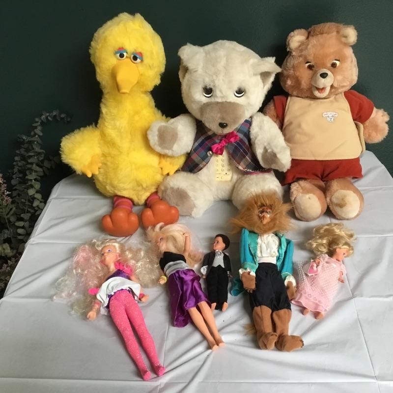 big bird teddy