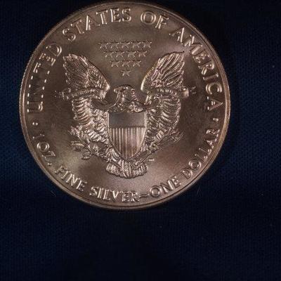 2017 Silver Eagle