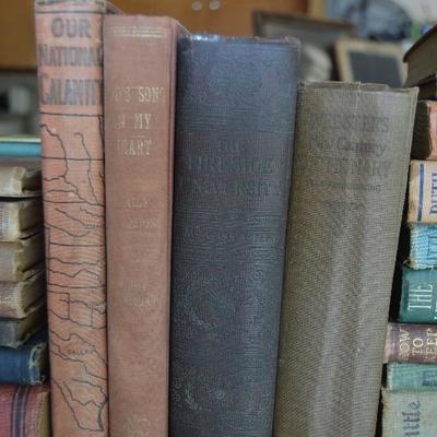 Vintage and Antique Book Lot