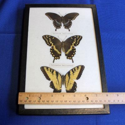 Lot 70 Width