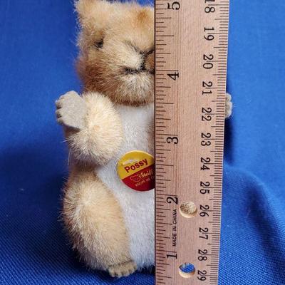 Lot 17 height