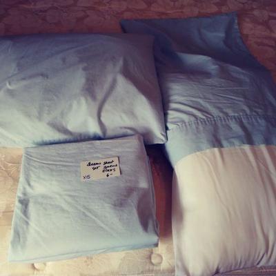 X15 Queen Sheet Set