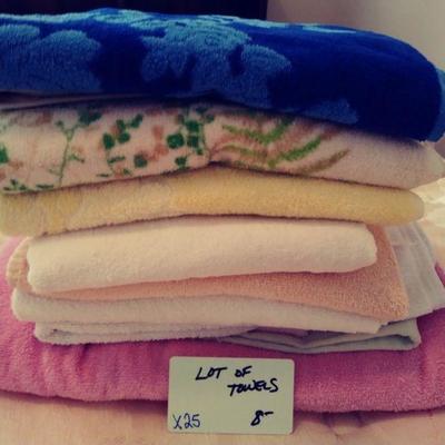 X25 Towel Lot