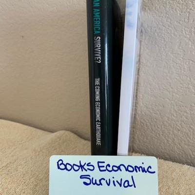 Y8 Economic Survival