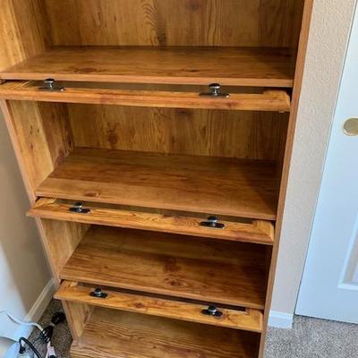 Y46 Lawyers Bookcase