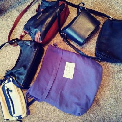 Z6 Purses