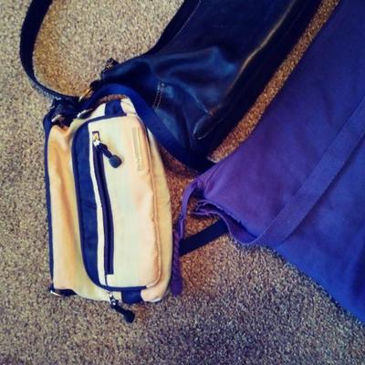 Z6 Purses