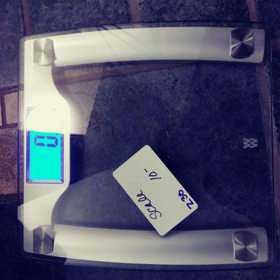 Z38 Scale 