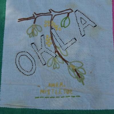 Pre-1959 Quilt top of each of the USA state's flowers