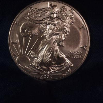 2020 American Eagle