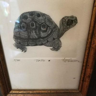 Turtle drawing 