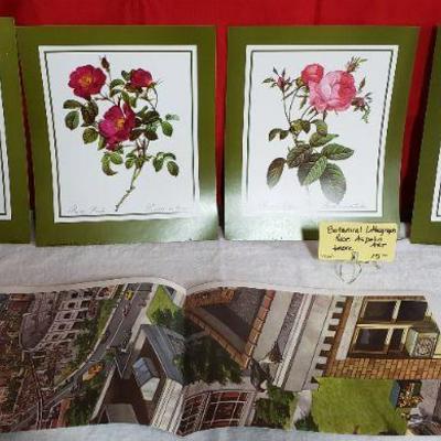 B248 Botanical Lithograph Rose Aspelin Art