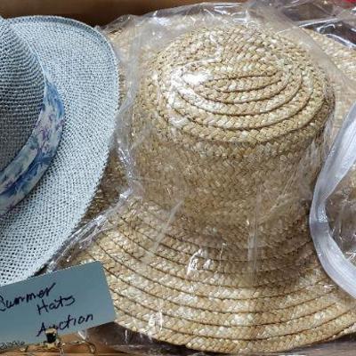 B346 Summer Hats