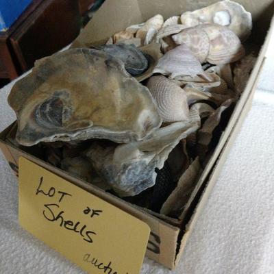 B719 Shells