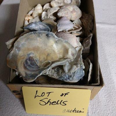 B719 Shells