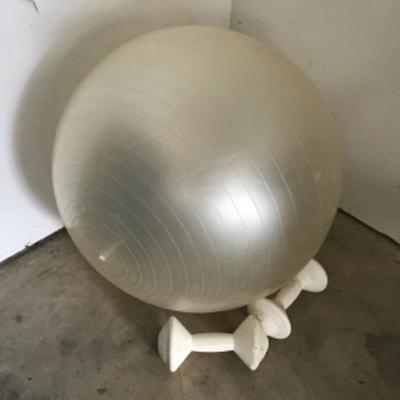 #gar23. 3.3# hand weights and exercise ball