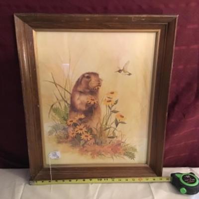 #fr52.  Gopher picture