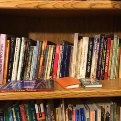 #DBR49.  Two shelves of books