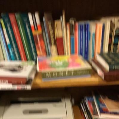 #DBR49.  Two shelves of books