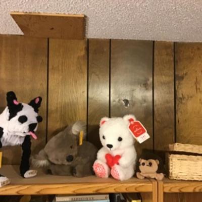 #DBR52.  Animal collection
