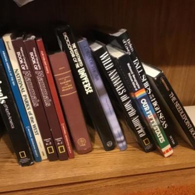 #DBR60.  13 variety of books