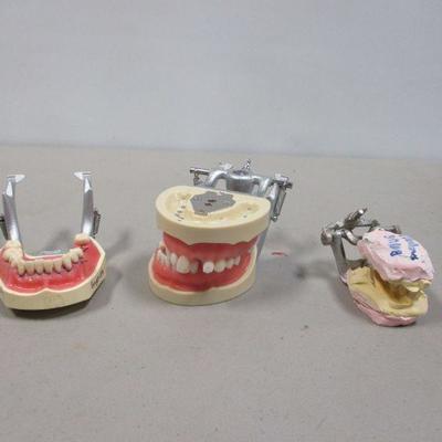 Lot 245 - Dentist Teeth Molds 