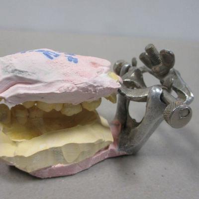 Lot 245 - Dentist Teeth Molds 