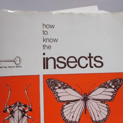 Lot 250 - Variety Of Books - Fly Fishing - Travel - DIY - Insects