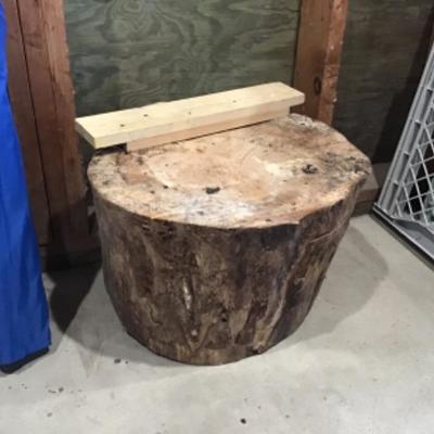 #s33.  Wood stump, 20 inches diameter
