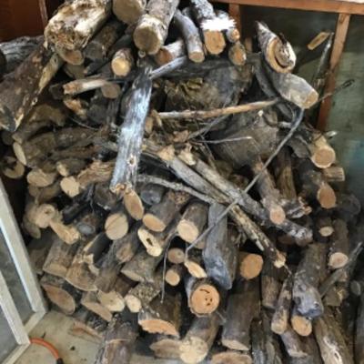 #s61. Dry wood. Ready to burn!