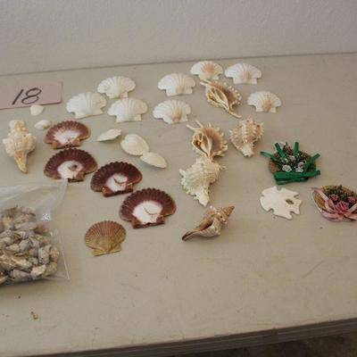 18-Lot of Sea Shell Hanging Decor and Shells for Decorating or Beach/Ocean Crafts