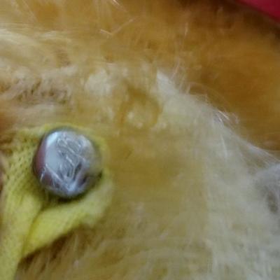 #114 Lot of Steiff small dogs  