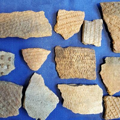 Lot 79: Naative AMerican Pottery Shards