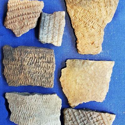 Lot 79: Naative AMerican Pottery Shards