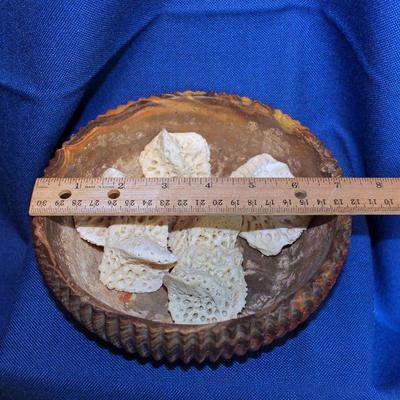 Lot 345: Comanche Texas Pottery Bowl and 6 Alligator Scutes