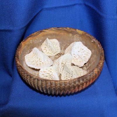 Lot 345: Comanche Texas Pottery Bowl and 6 Alligator Scutes