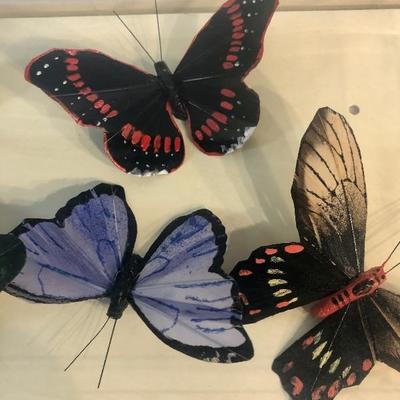 Butterfly decor